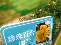 -文瀛公园