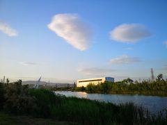 -永定河休闲森林公园