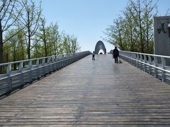 -大兴滨河森林公园