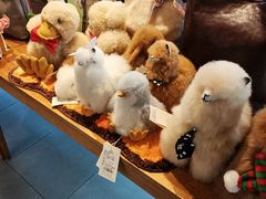 -思南书局(复兴中路店)