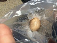 android_upload_pic-金盆阿嬷香菇茶叶蛋(玄光店)