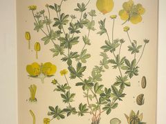 -湖北省美术院美术馆