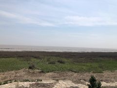 -南汇嘴观海公园