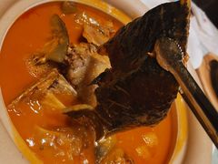 黄煨甲鱼-西贝海鲜汇(槐安路店)