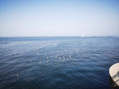 -大连海昌东方水城