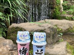 -广州市白云山风景名胜区