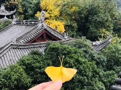 -韬光茶庵