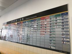 -上海交通大学医学院附属上海儿童医学中心(陆家嘴总院区)