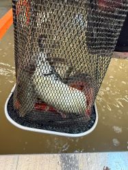 -巡鱼道·室内垂钓·渔具店