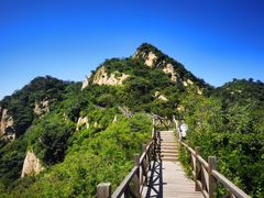 -大岭沟猕猴桃谷风景区