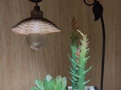-梵猫·新养生(福州万象城店)