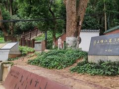 -马王堆汉墓遗址