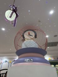 -MELAND CLUB亲子乐园·派对·餐厅(北京芳圆里ID MALL店)