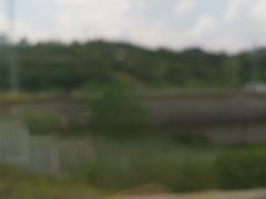 -婺源站