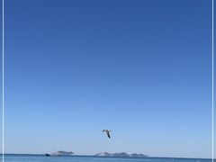 -棒棰岛宾馆景区