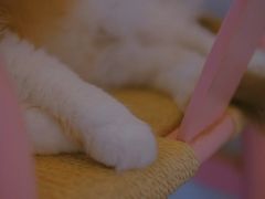 -灯塔咖啡馆BOOK·Coffee Shop