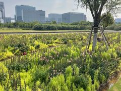 -春花秋色城市公园