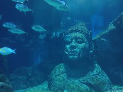 -暹罗海洋世界