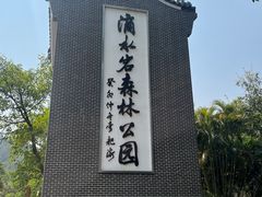 -滴水岩森林公园