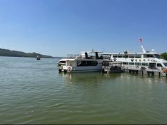 -天目湖山水园
