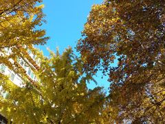 -山东师范大学(千佛山校区)