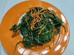 -三江源美食城