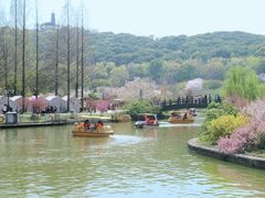 -苏州上方山国家森林公园