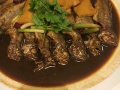 -小蓉合餐厅·川菜·家常菜(凤城二路店)