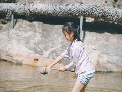 -少华山国家森林公园