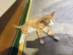 -渔太泰漓江小馆·广西融合菜(西街店)