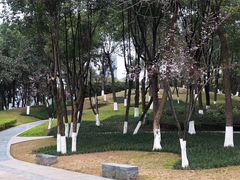 -重庆市江北嘴中央商务区中央公园