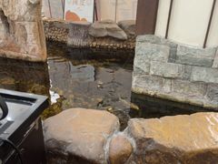 -伯乐居茶艺馆(石岐大信店)