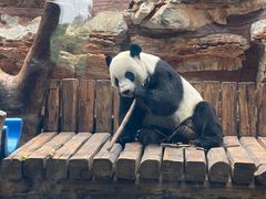 -石家庄市动物园