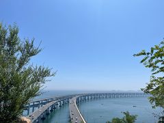 -星海湾跨海大桥