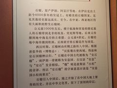-中国石榴博物馆