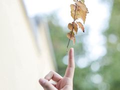 -颐和路民国时期公馆-风貌区