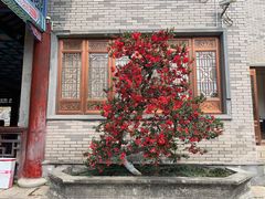-龙潭水乡