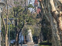 -蠡湖中央公园