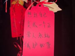 -屋有岛沉浸游戏旗舰店(中山公园店)