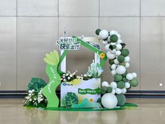 -哈尔滨太平国际机场-T2航站楼