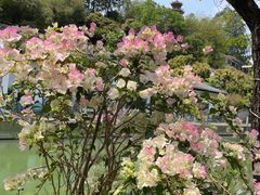 -鹅滋道(甘坑古镇店)