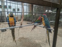 -南宫五洲植物乐园