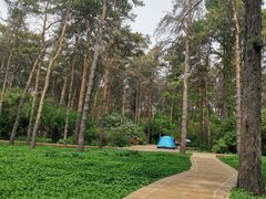 -黑龙江省森林植物园