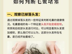 -中国农业大学(西校区)