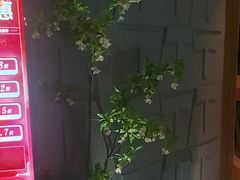 -秘地·影院式足浴SPA(凤三旗舰店)