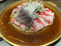 -小牛哈尼章鱼水煎肉(金鹰店)