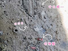 -北海金海湾红树林生态旅游区