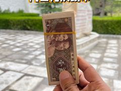 -布达拉宫
