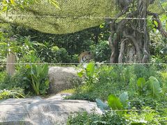 -广州长隆野生动物世界