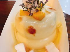 -狐狸和向日葵(北京路店)